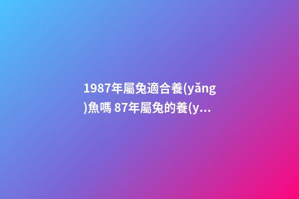 1987年屬兔適合養(yǎng)魚嗎 87年屬兔的養(yǎng)金魚的風(fēng)水-第1張-觀點(diǎn)-玄機(jī)派